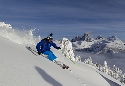 alpine ski crosscountry sale rossignol atomic dynastar fischer